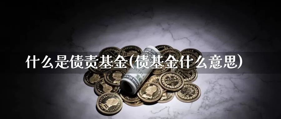 什么是债责基金(债基金什么意思)_https://www.zzcnk.com_基金_第1张