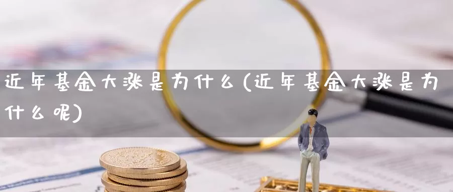 近年基金大涨是为什么(近年基金大涨是为什么呢)_https://www.zzcnk.com_基金_第1张