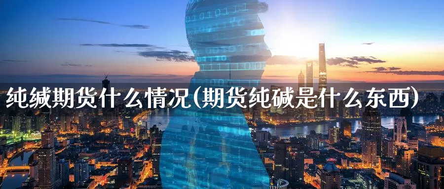 纯缄期货什么情况(期货纯碱是什么东西)_https://www.zzcnk.com_期货百科_第1张