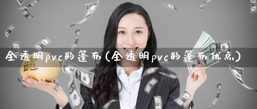 全透明pvc的篷布(全透明pvc的篷布优点)_https://www.zzcnk.com_期货直播_第1张