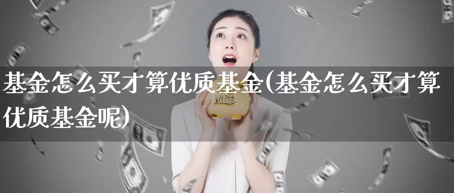 基金怎么买才算优质基金(基金怎么买才算优质基金呢)_https://www.zzcnk.com_基金_第1张