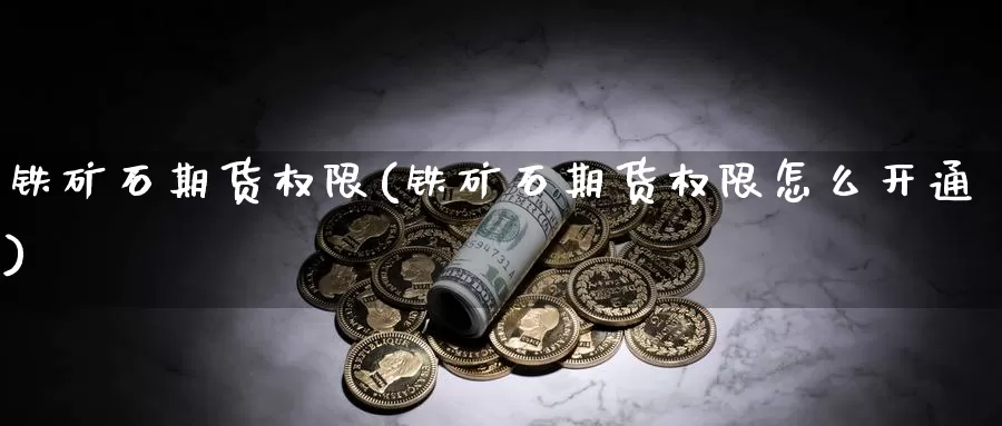 铁矿石期货权限(铁矿石期货权限怎么开通)_https://www.zzcnk.com_恒生指数_第1张