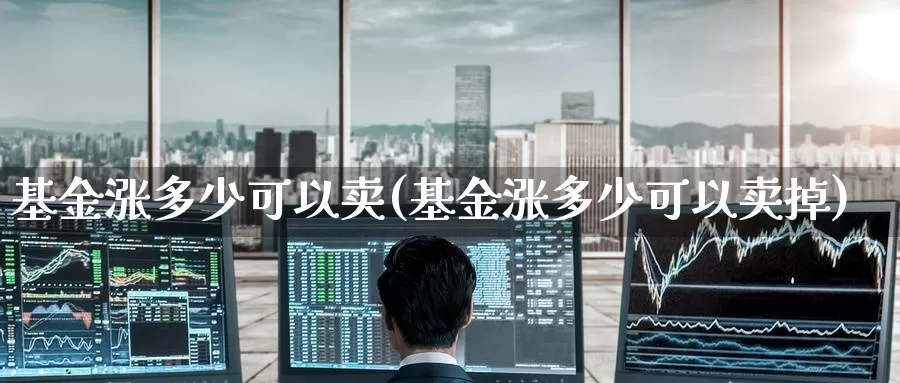 基金涨多少可以卖(基金涨多少可以卖掉)_https://www.zzcnk.com_股票_第1张
