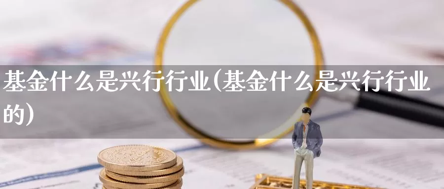 基金什么是兴行行业(基金什么是兴行行业的)_https://www.zzcnk.com_基金_第1张