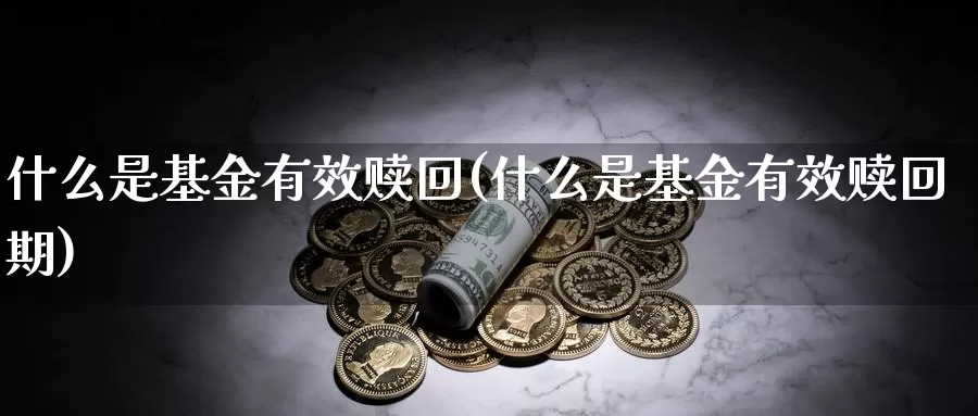 什么是基金有效赎回(什么是基金有效赎回期)_https://www.zzcnk.com_财经_第1张