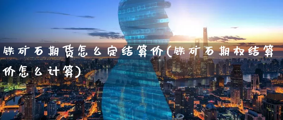 铁矿石期货怎么定结算价(铁矿石期权结算价怎么计算)_https://www.zzcnk.com_期货直播_第1张