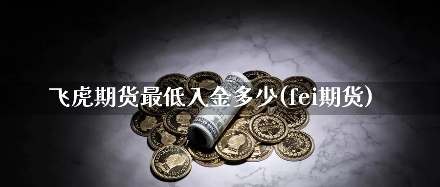 飞虎期货最低入金多少(fei期货)_https://www.zzcnk.com_纳指期货_第1张