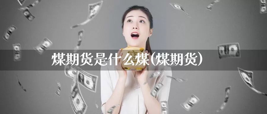 煤期货是什么煤(煤期货)_https://www.zzcnk.com_期货_第1张