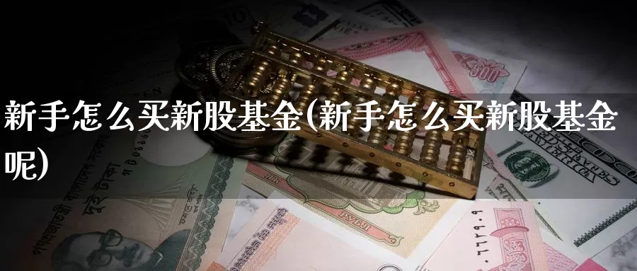 新手怎么买新股基金(新手怎么买新股基金呢)_https://www.zzcnk.com_基金_第1张
