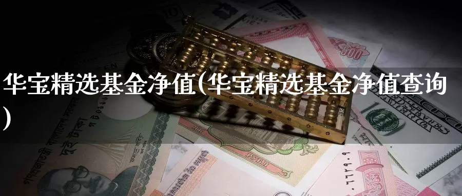 华宝精选基金净值(华宝精选基金净值查询)_https://www.zzcnk.com_期货_第1张