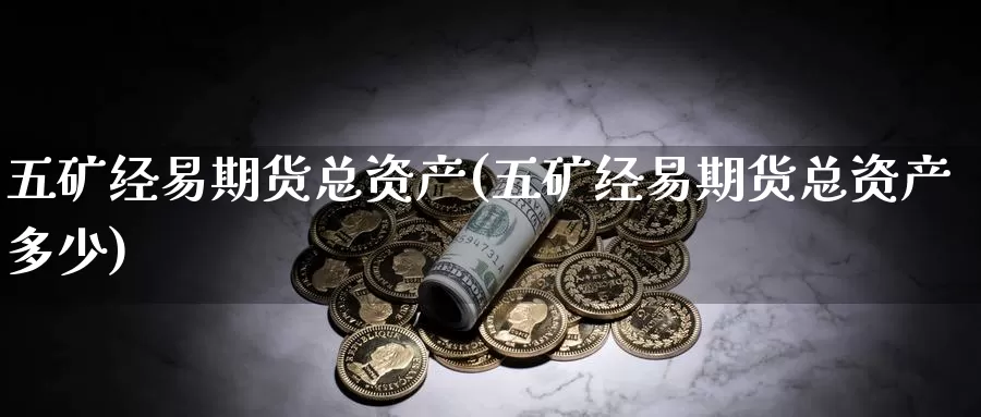 五矿经易期货总资产(五矿经易期货总资产多少)_https://www.zzcnk.com_期货百科_第1张