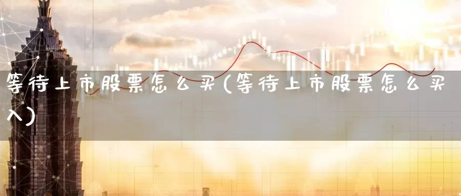 等待上市股票怎么买(等待上市股票怎么买入)_https://www.zzcnk.com_财经_第1张