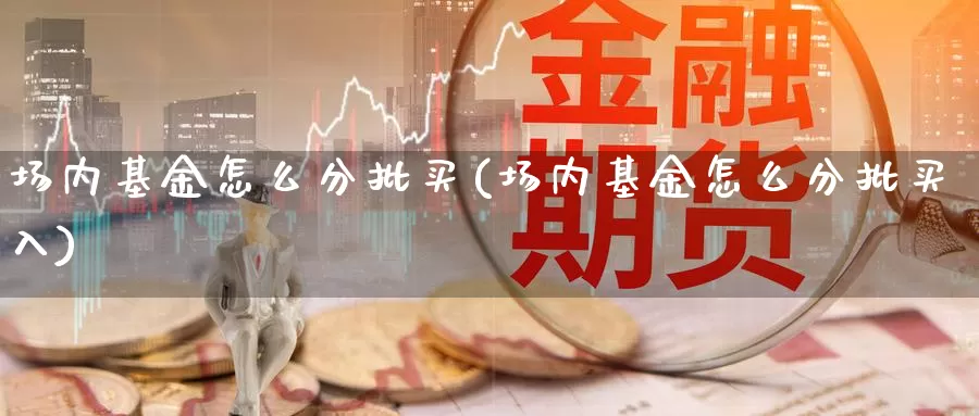 场内基金怎么分批买(场内基金怎么分批买入)_https://www.zzcnk.com_基金_第1张