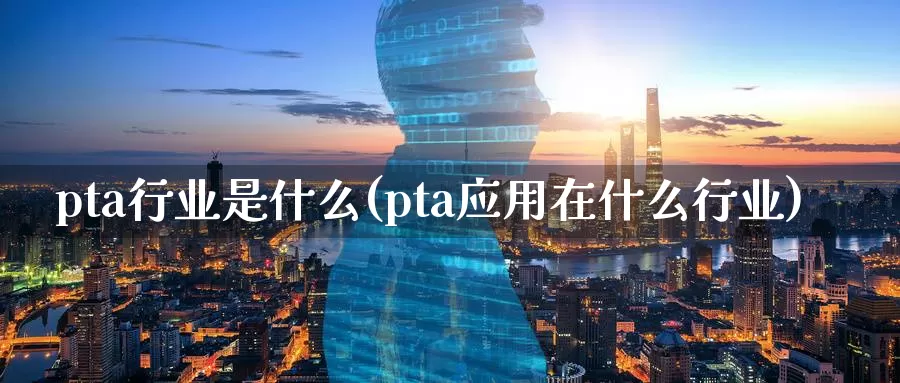 pta行业是什么(pta应用在什么行业)_https://www.zzcnk.com_恒生指数_第1张