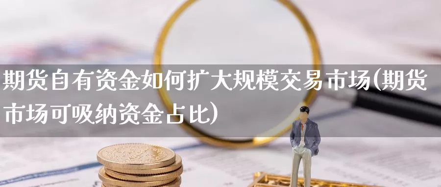 期货自有资金如何扩大规模交易市场(期货市场可吸纳资金占比)_https://www.zzcnk.com_恒生指数_第1张