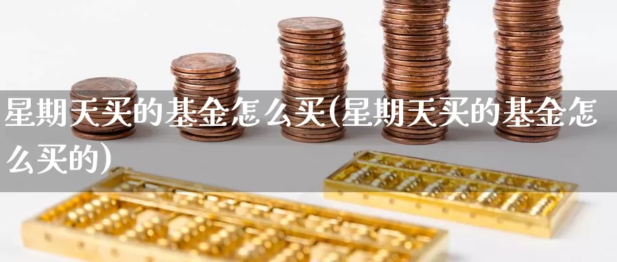 星期天买的基金怎么买(星期天买的基金怎么买的)_https://www.zzcnk.com_基金_第1张