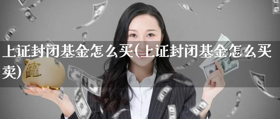 上证封闭基金怎么买(上证封闭基金怎么买卖)_https://www.zzcnk.com_基金_第1张