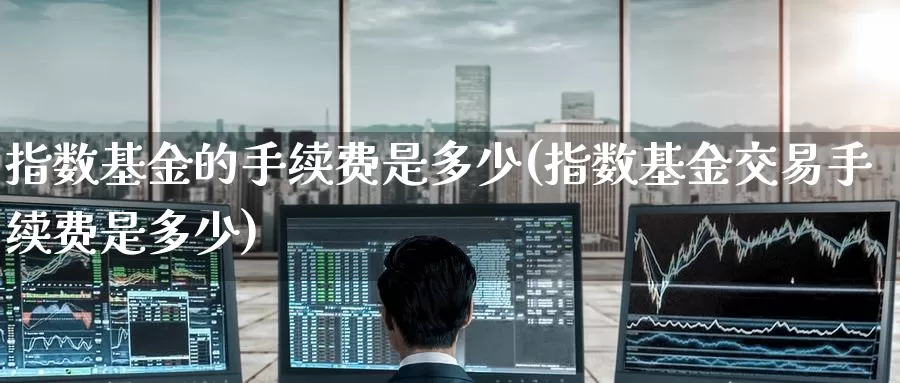 指数基金的手续费是多少(指数基金交易手续费是多少)_https://www.zzcnk.com_恒生指数_第1张