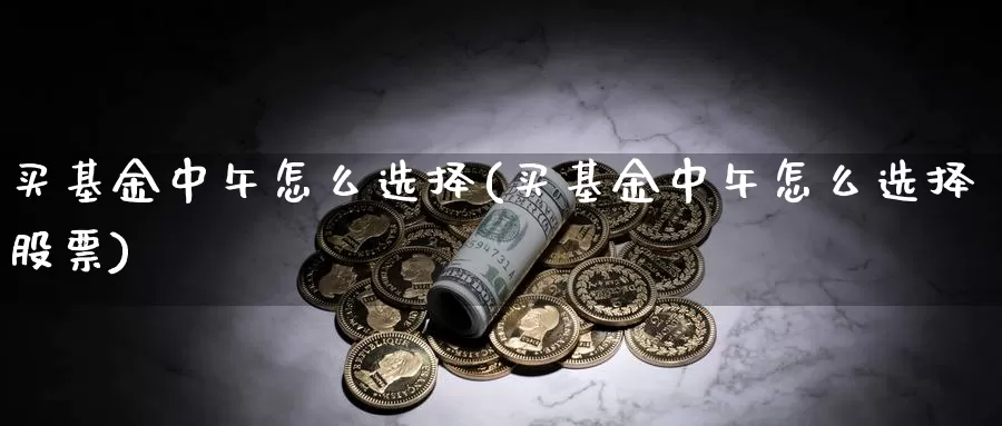 买基金中午怎么选择(买基金中午怎么选择股票)_https://www.zzcnk.com_基金_第1张