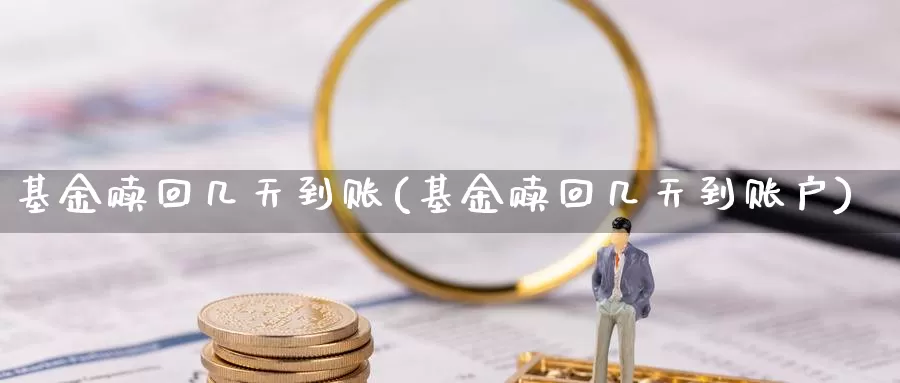 基金赎回几天到账(基金赎回几天到账户)_https://www.zzcnk.com_股票_第1张