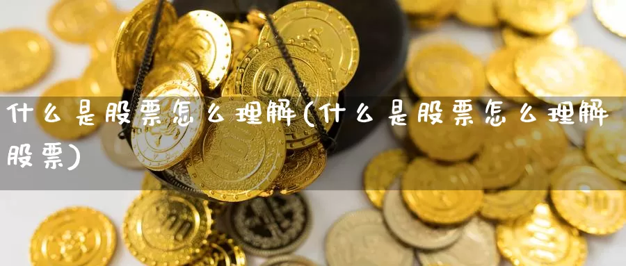 什么是股票怎么理解(什么是股票怎么理解股票)_https://www.zzcnk.com_股指期货_第1张