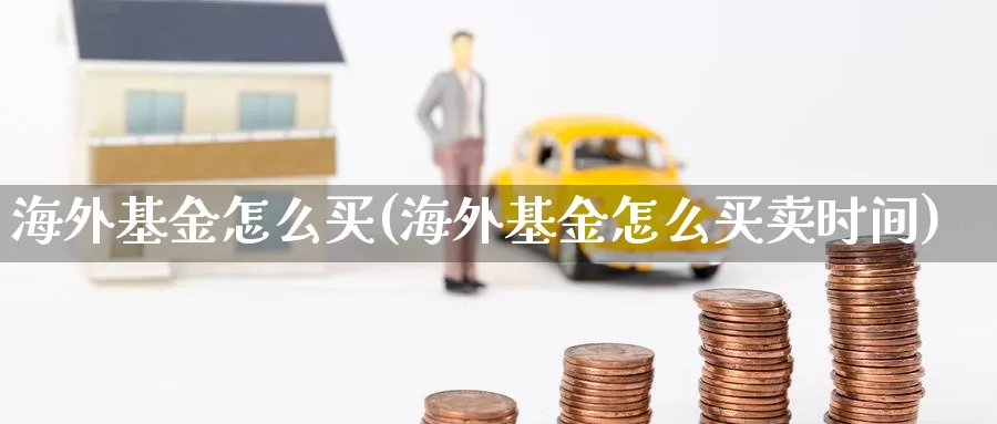 海外基金怎么买(海外基金怎么买卖时间)_https://www.zzcnk.com_基金_第1张