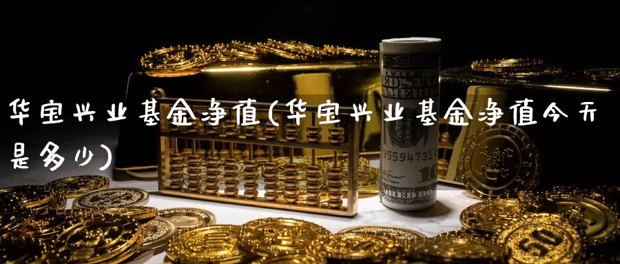 华宝兴业基金净值(华宝兴业基金净值今天是多少)_https://www.zzcnk.com_期货_第1张