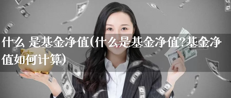 什么 是基金净值(什么是基金净值?基金净值如何计算)_https://www.zzcnk.com_财经_第1张