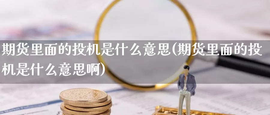 期货里面的投机是什么意思(期货里面的投机是什么意思啊)_https://www.zzcnk.com_纳指期货_第1张