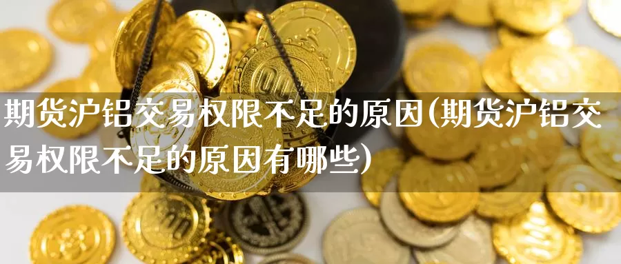期货沪铝交易权限不足的原因(期货沪铝交易权限不足的原因有哪些)_https://www.zzcnk.com_纳指期货_第1张