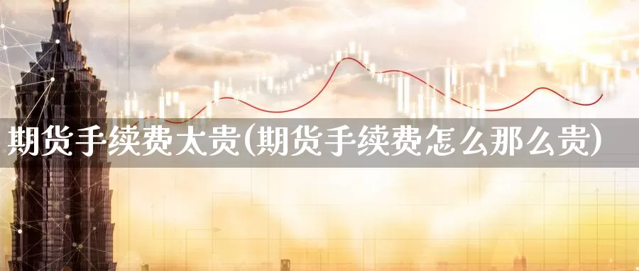期货手续费太贵(期货手续费怎么那么贵)_https://www.zzcnk.com_股指期货_第1张