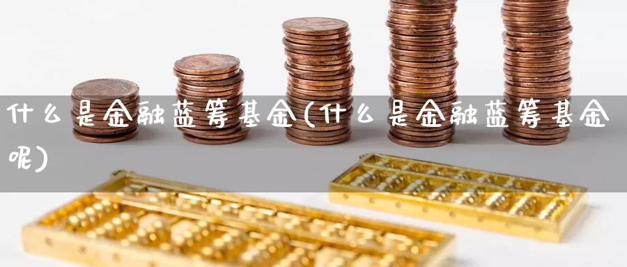 什么是金融蓝筹基金(什么是金融蓝筹基金呢)_https://www.zzcnk.com_基金_第1张
