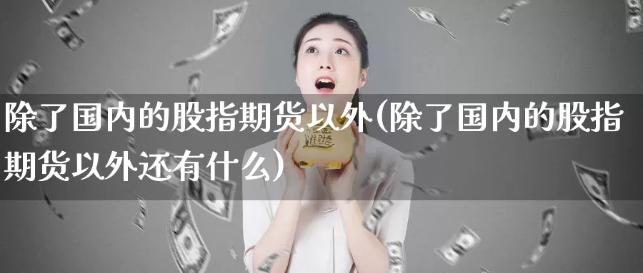 除了国内的股指期货以外(除了国内的股指期货以外还有什么)_https://www.zzcnk.com_恒生指数_第1张