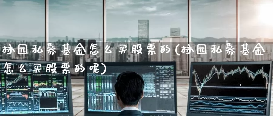 林园私募基金怎么买股票的(林园私募基金怎么买股票的呢)_https://www.zzcnk.com_基金_第1张