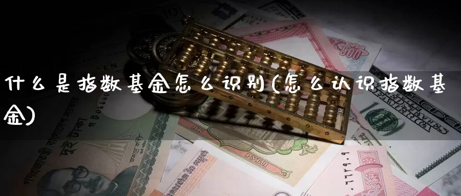 什么是指数基金怎么识别(怎么认识指数基金)_https://www.zzcnk.com_基金_第1张