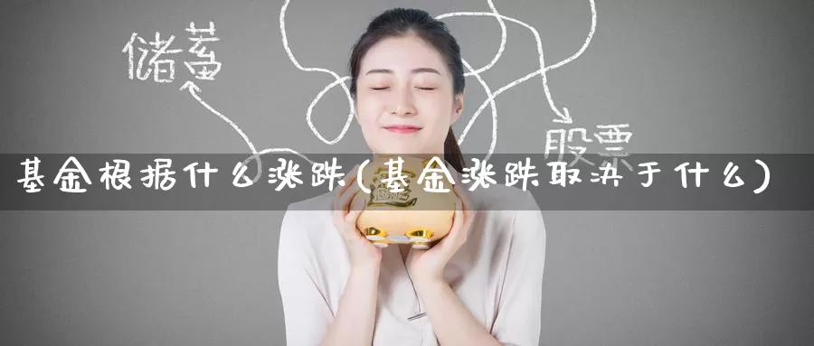 基金根据什么涨跌(基金涨跌取决于什么)_https://www.zzcnk.com_理财_第1张