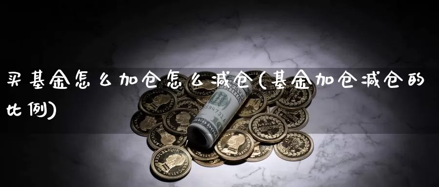 买基金怎么加仓怎么减仓(基金加仓减仓的比例)_https://www.zzcnk.com_基金_第1张