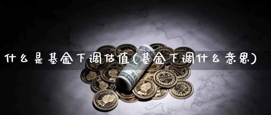 什么是基金下调估值(基金下调什么意思)_https://www.zzcnk.com_基金_第1张
