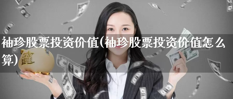 袖珍股票投资价值(袖珍股票投资价值怎么算)_https://www.zzcnk.com_股票_第1张