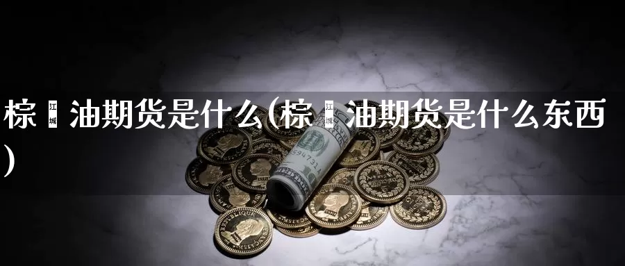 棕榈油期货是什么(棕榈油期货是什么东西)_https://www.zzcnk.com_期货_第1张