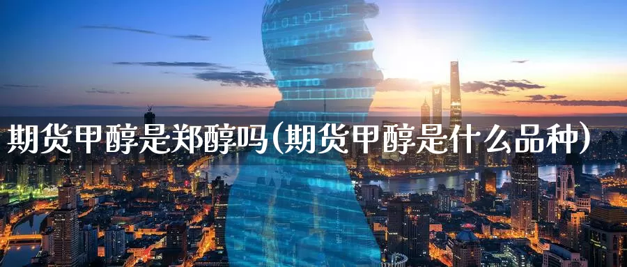 期货甲醇是郑醇吗(期货甲醇是什么品种)_https://www.zzcnk.com_期货直播_第1张