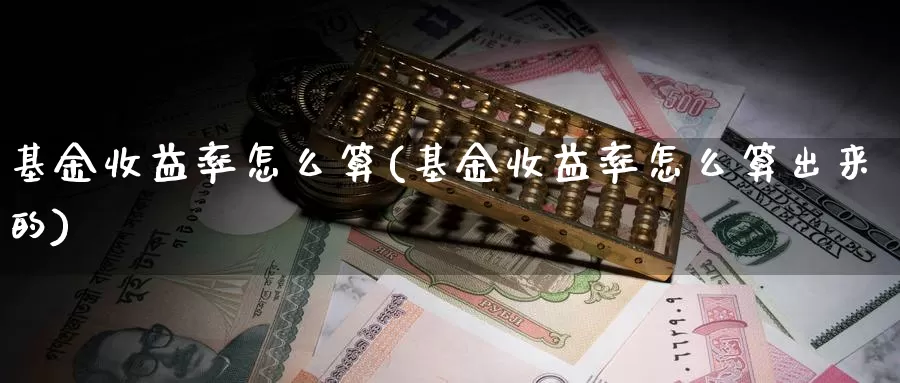 基金收益率怎么算(基金收益率怎么算出来的)_https://www.zzcnk.com_股票_第1张