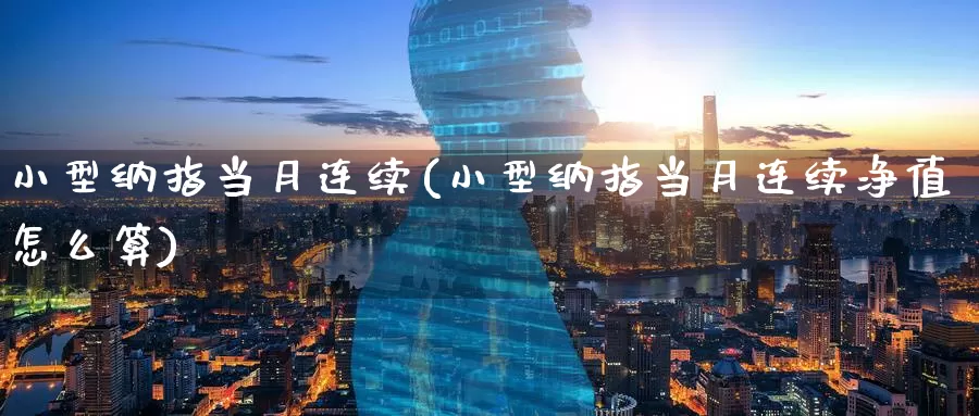 小型纳指当月连续(小型纳指当月连续净值怎么算)_https://www.zzcnk.com_纳指期货_第1张