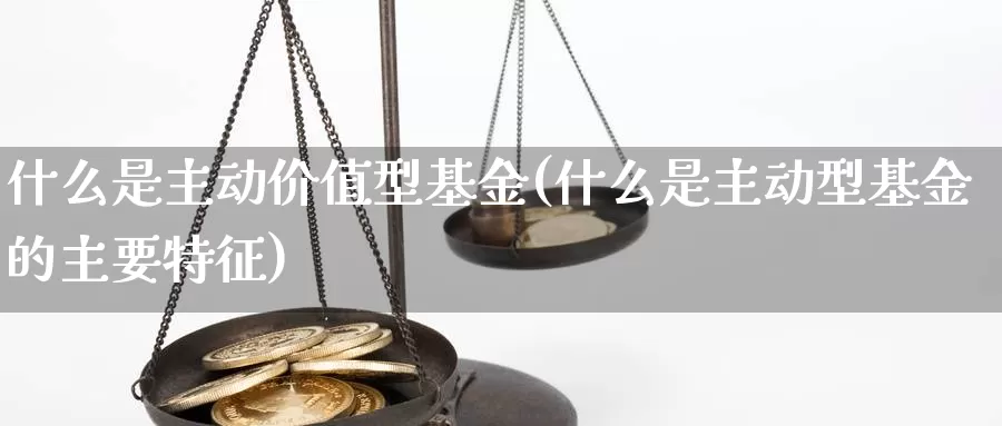 什么是主动价值型基金(什么是主动型基金的主要特征)_https://www.zzcnk.com_基金_第1张