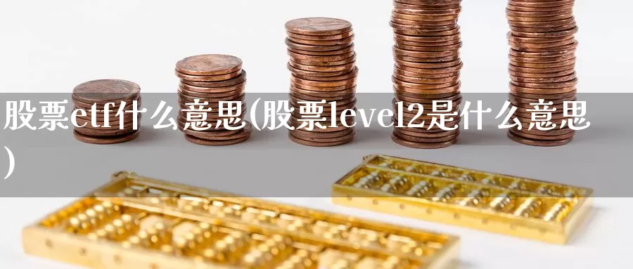 股票etf什么意思(股票level2是什么意思)_https://www.zzcnk.com_股指期货_第1张