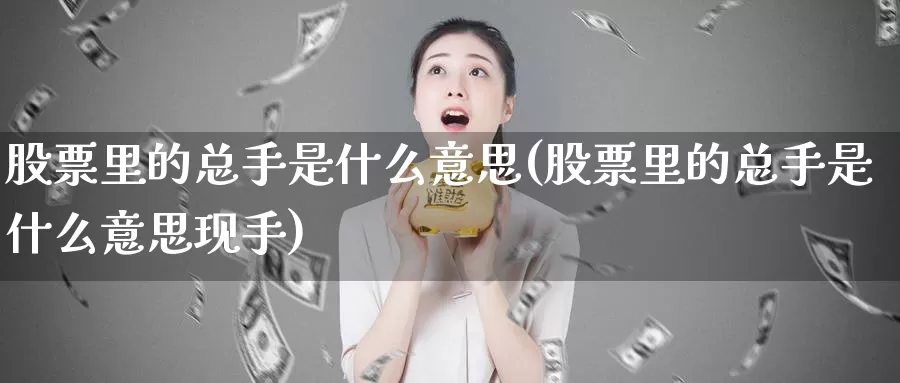 股票里的总手是什么意思(股票里的总手是什么意思现手)_https://www.zzcnk.com_期货百科_第1张