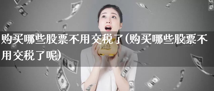 购买哪些股票不用交税了(购买哪些股票不用交税了呢)_https://www.zzcnk.com_股票_第1张