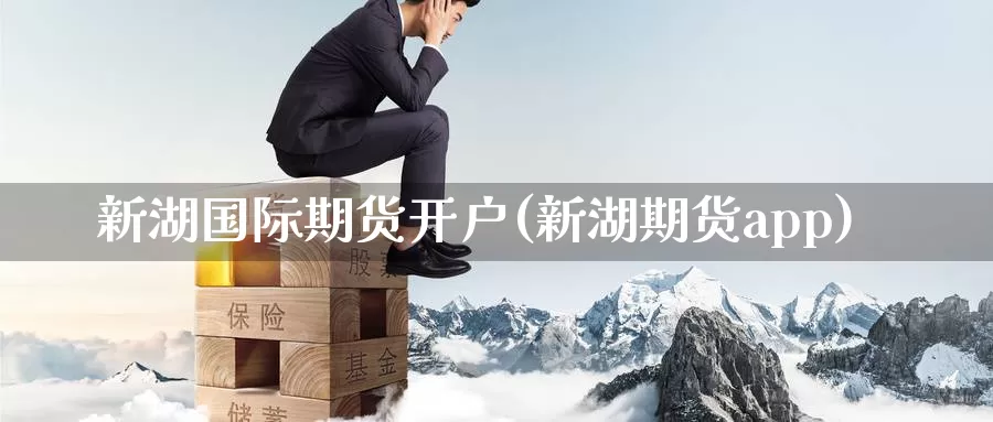 新湖国际期货开户(新湖期货app)_https://www.zzcnk.com_期货_第1张