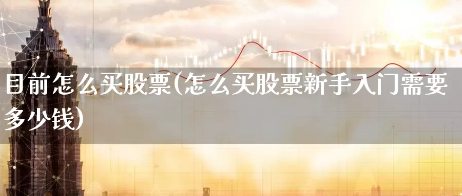 目前怎么买股票(怎么买股票新手入门需要多少钱)_https://www.zzcnk.com_股票_第1张