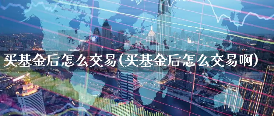 买基金后怎么交易(买基金后怎么交易啊)_https://www.zzcnk.com_基金_第1张